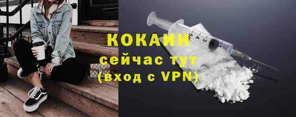 стаф Магас