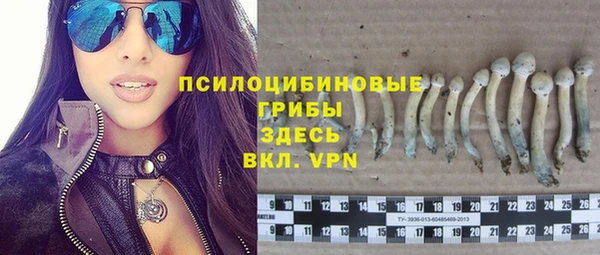 эйфоретик Алексеевка